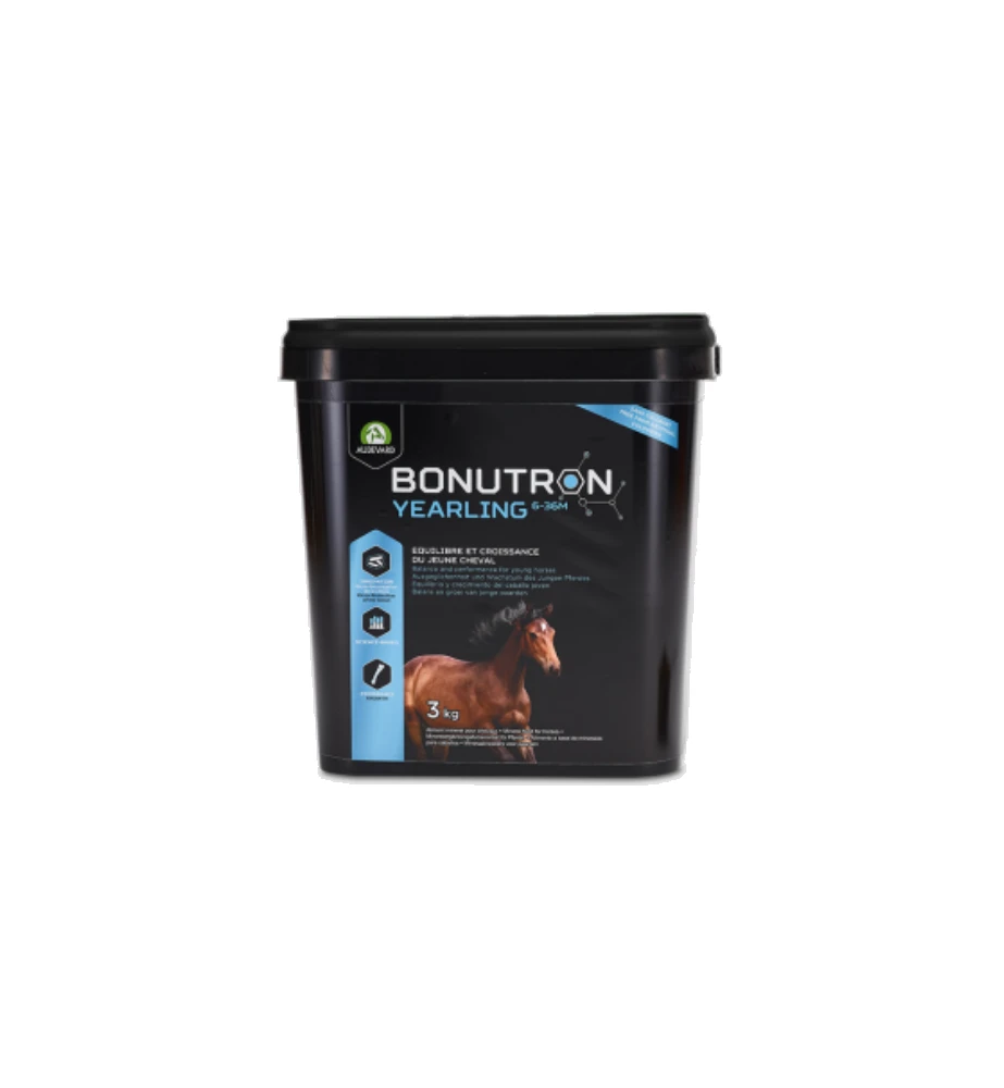 Audevard Bonutron Yearling 6-36M 1 Audevard Bonutron Yearling 6-36M