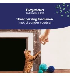 Flexadin Cat - 60 Chews 5 Flexadin Cat - 60 Chews -Dierenwinkel flexadin cat 60 chews 1