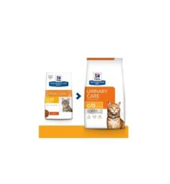 Hill's Prescription Diet C/D Multicare Urinary Care Met Kip -Dierenwinkel hill s prescription diet cd multicare urinary care met kip 1