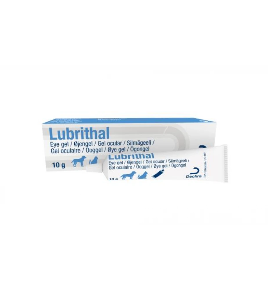 Lubrithal Ooggel - 10 Gram 1 Lubrithal Ooggel - 10 Gram
