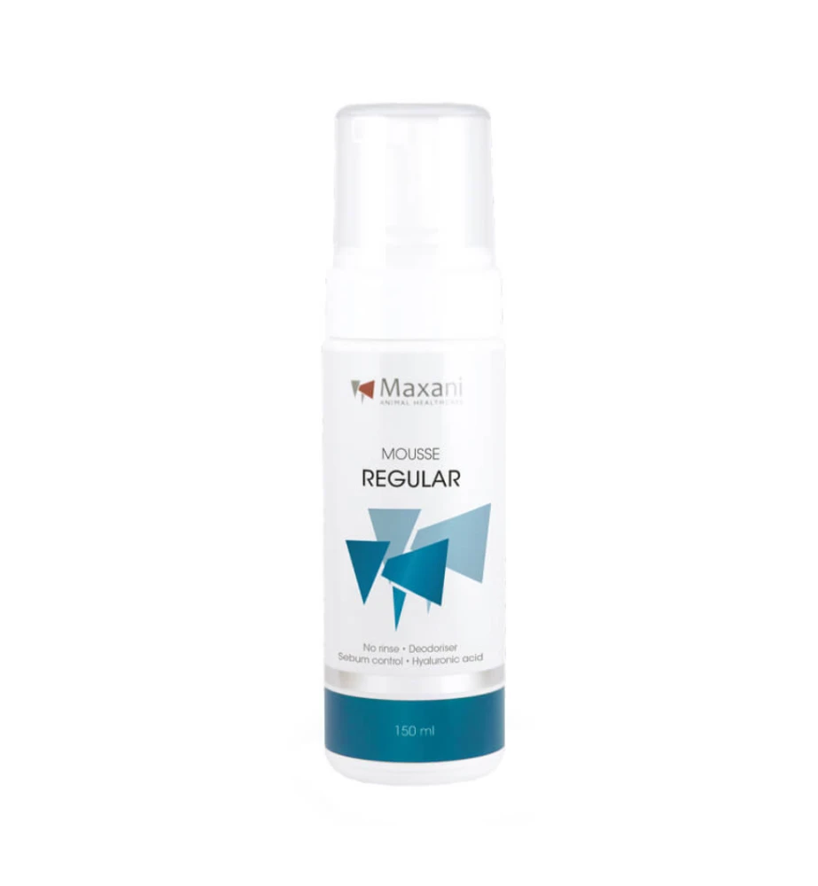 Maxani Regular Mousse - 150 Ml 1 Maxani Regular Mousse - 150 Ml