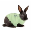 Medical Pet Shirt (Konijn)