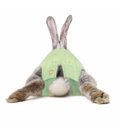 Medical Pet Shirt (Konijn) 5 Medical Pet Shirt (Konijn) -Dierenwinkel medical pet shirt konijn groen 2