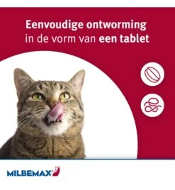 Milbemax Grote Kat -Dierenwinkel milbemax grote kat 2