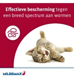 Milbemax Kleine Kat / Kitten -Dierenwinkel milbemax kleine kat kitten 1