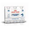 Royal Canin Recovery Liquid - 3 X 200 Ml