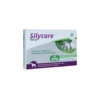 Silycure 160 Mg - 30 Tabletten