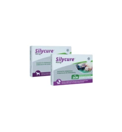 Silycure 40 Mg - 60 Tabletten -Dierenwinkel silycure 40 mg 60 tabletten 2