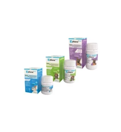 Vetoquinol Zylkene Plus 75 Mg Hond & Kat (-10 Kg) - 30 Capsules 5 Vetoquinol Zylkene Plus 75 Mg Hond & Kat (-10 Kg) - 30 Capsules -Dierenwinkel zylkene plus 75 mg hond kat 10 kg 30 capsules 2